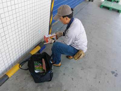 食品廠老鼠防治方案，早用早省心 清潔服務助您無憂經營